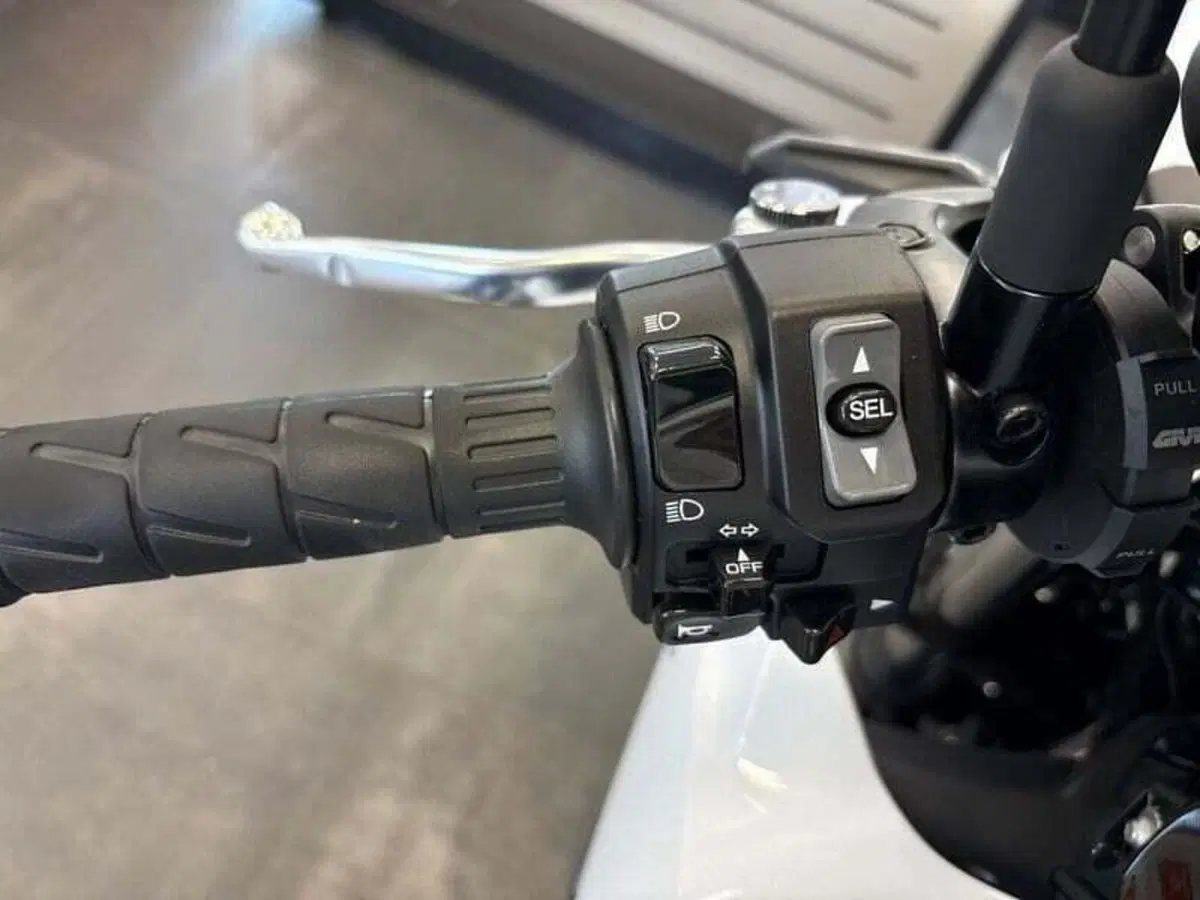 Kawasaki Z 650 (2021 - 24) (7)