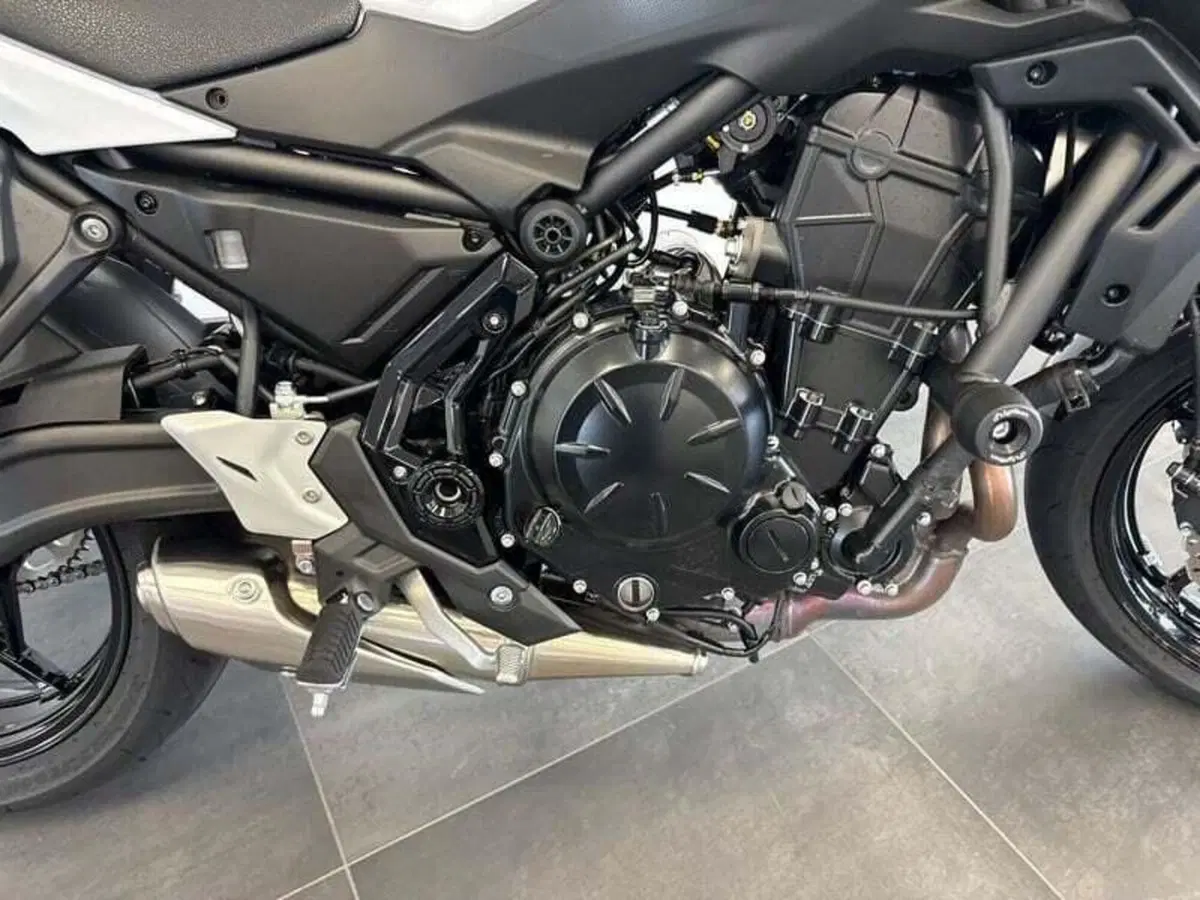 Kawasaki Z 650 (2021 - 24) (10)
