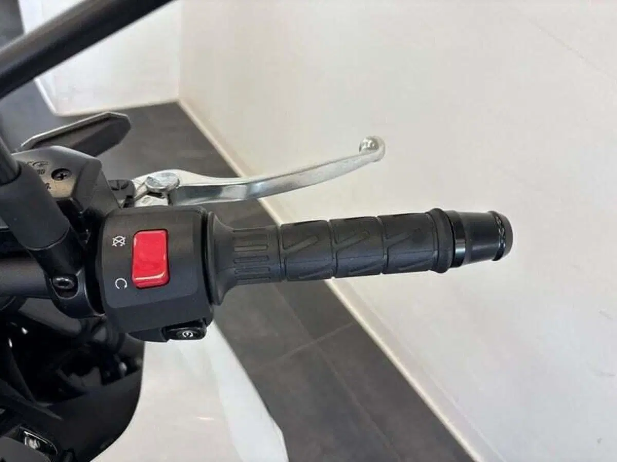 Kawasaki Z 650 (2021 - 24) (8)
