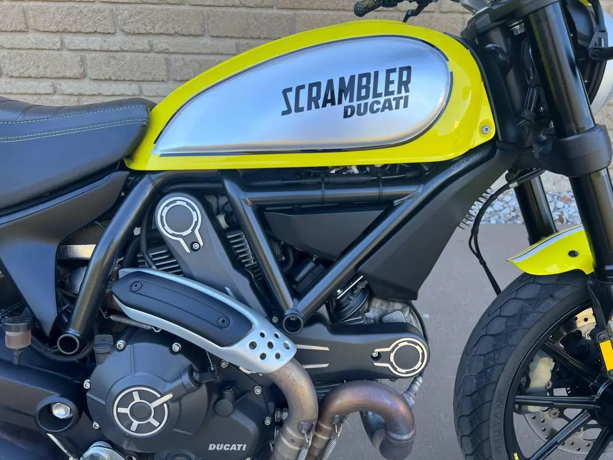 Ducati Scrambler 800 Flat Track Pro (2016 - 17) (4)