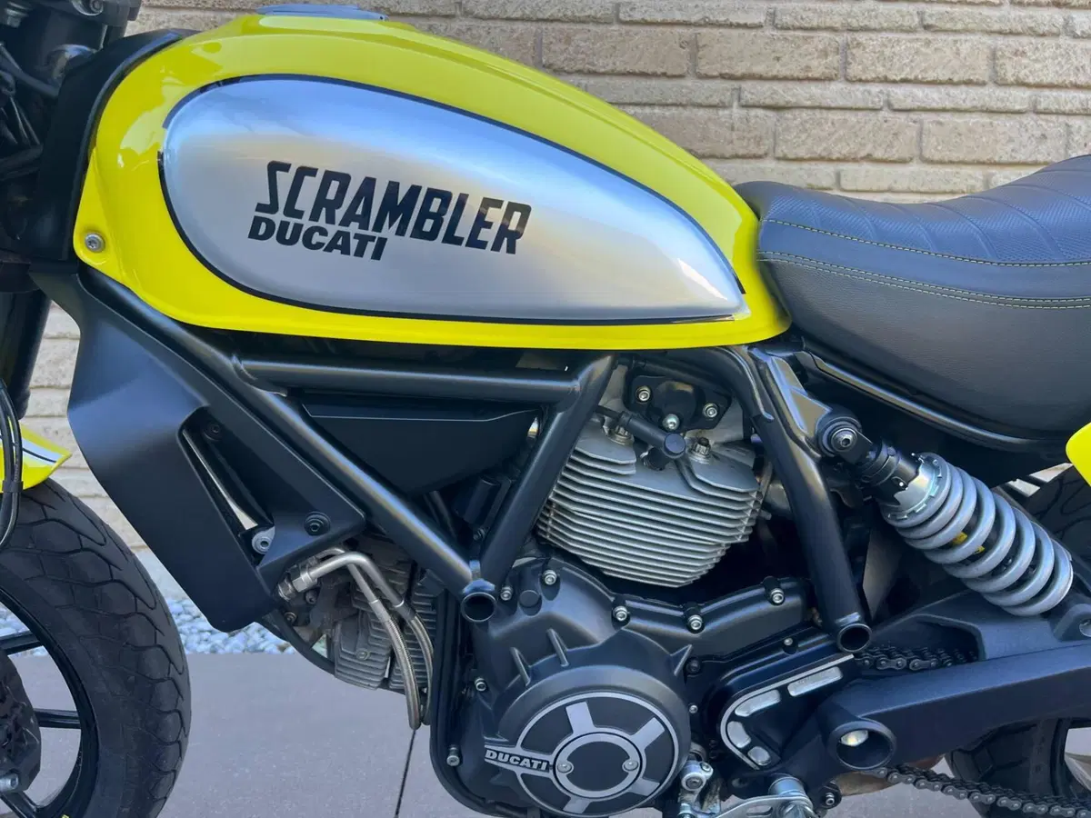 Ducati Scrambler 800 Flat Track Pro (2016 - 17) (8)