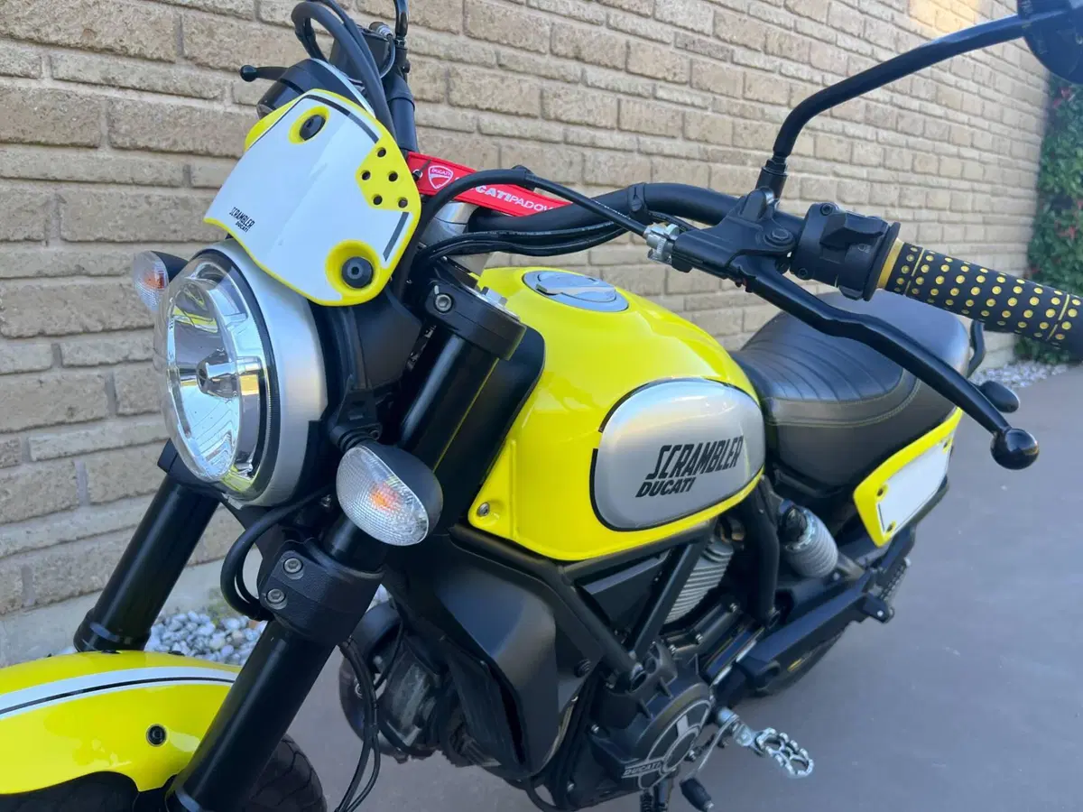Ducati Scrambler 800 Flat Track Pro (2016 - 17) (9)