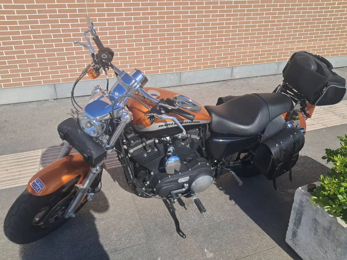 Harley-Davidson 1200 Forty-Eight (2016 - 20) (2)
