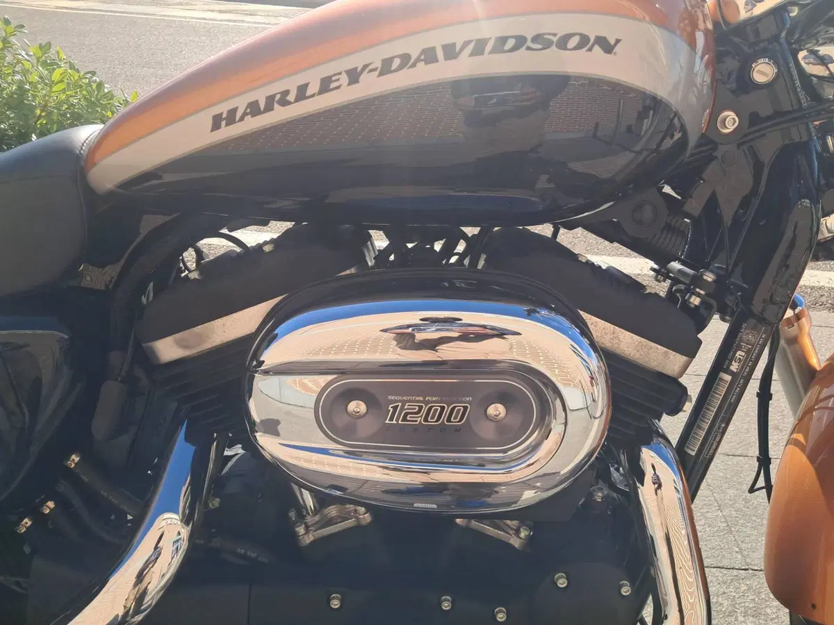 Harley-Davidson 1200 Forty-Eight (2016 - 20) (4)