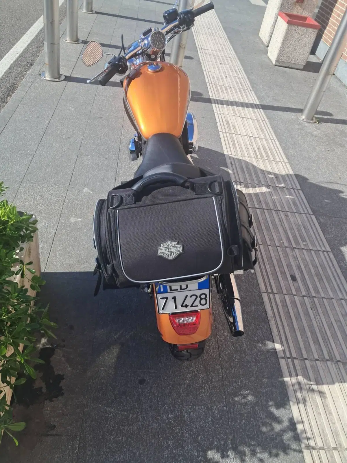 Harley-Davidson 1200 Forty-Eight (2016 - 20) (6)
