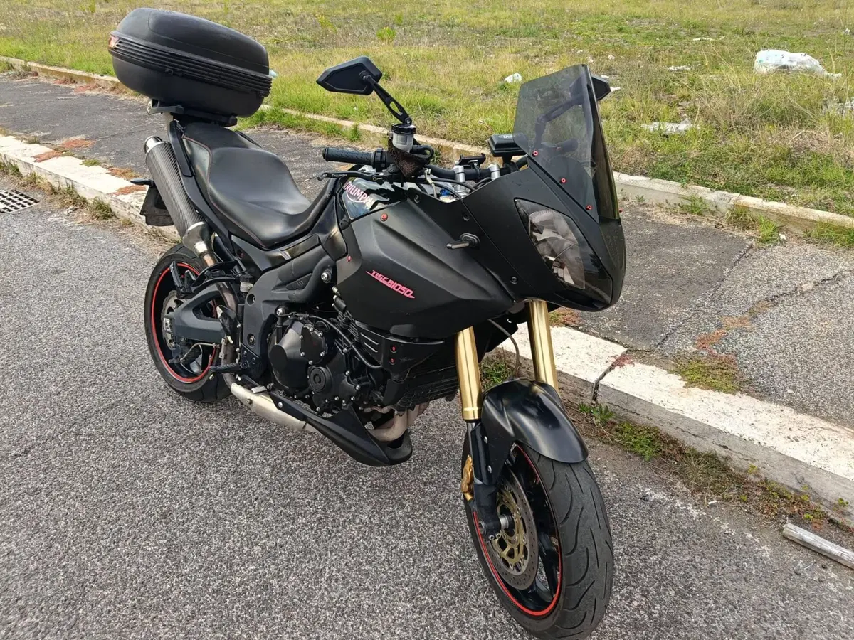 Triumph Tiger 1050 (2006 - 12) (6)