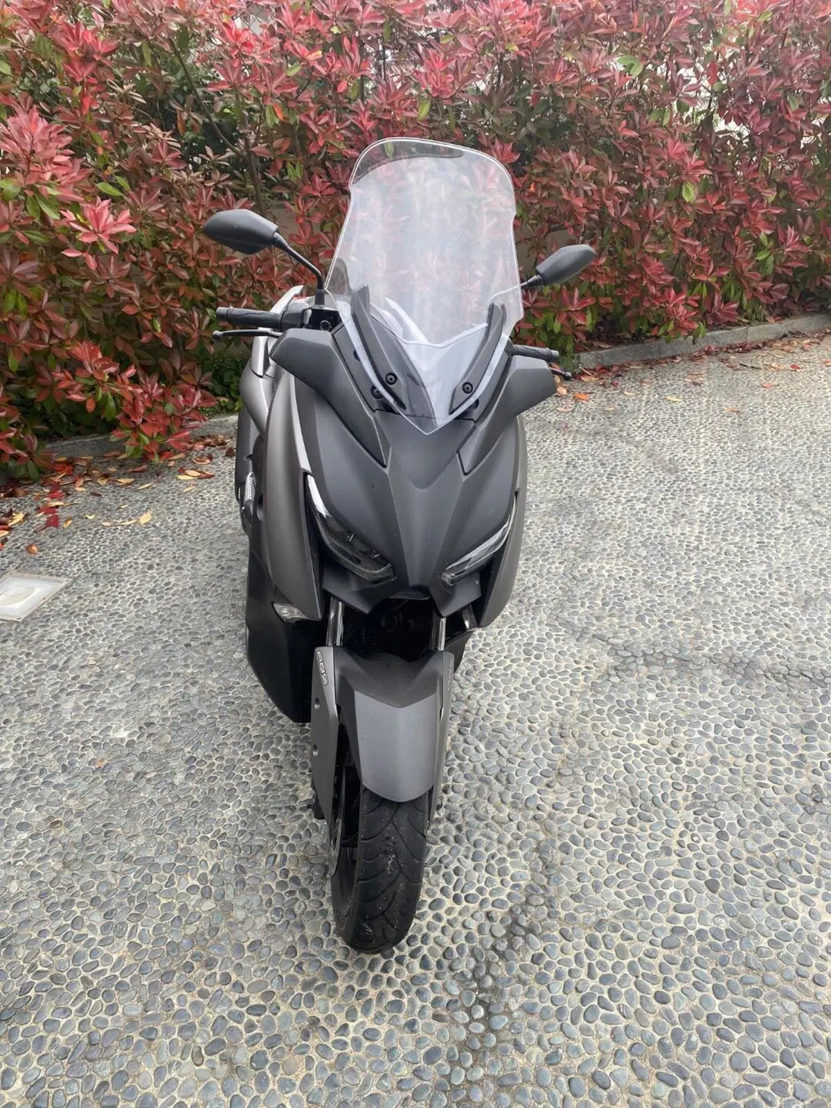 Yamaha X-Max 300 ABS (2017 - 20) (2)