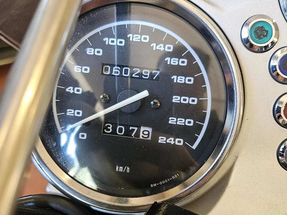 Bmw R 850 R (2003 - 05) (3)