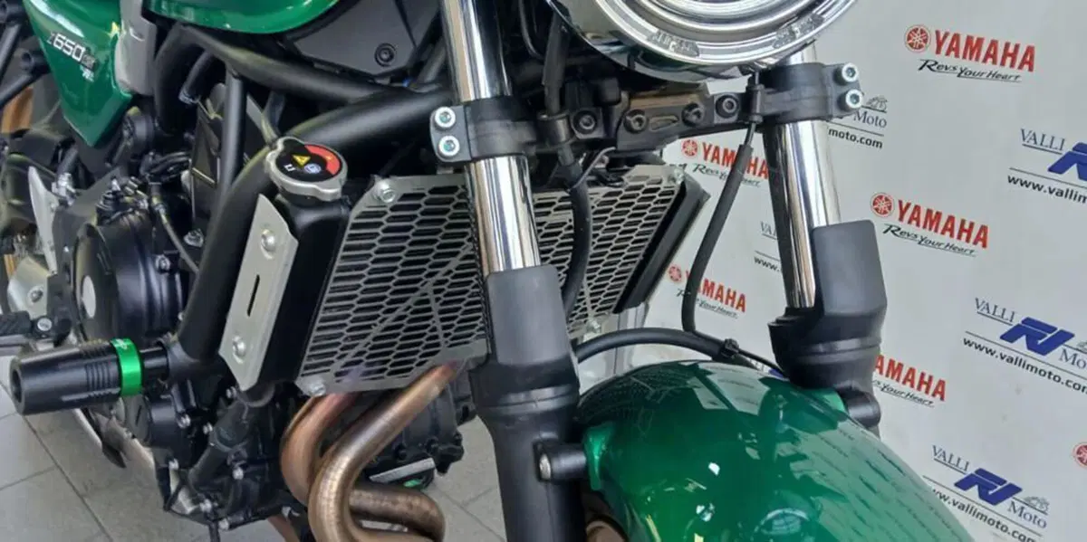 Kawasaki Z 650 RS (2022 - 24) (5)