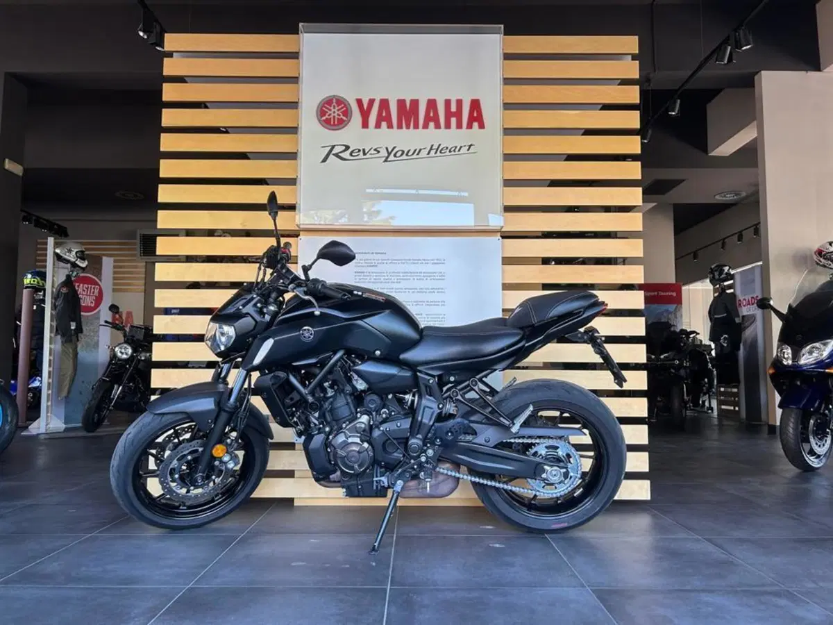 Yamaha MT-07 (2018 - 20) (6)