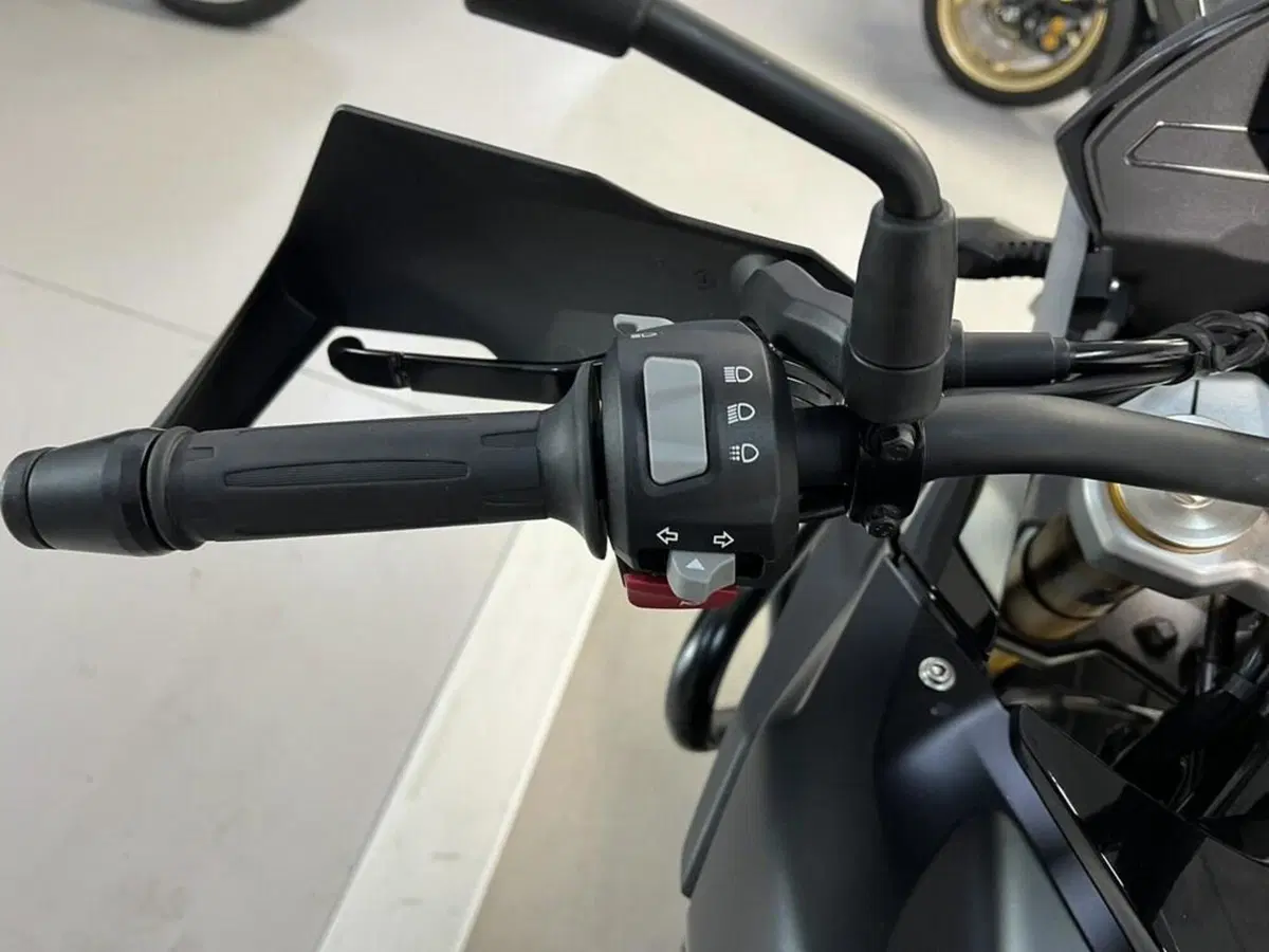 Bmw G 310 GS (2021 - 25) (7)