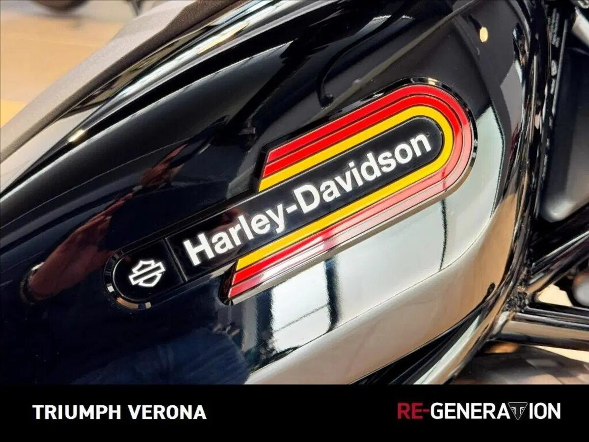 Harley-Davidson Nightster (2023 - 26) (2)