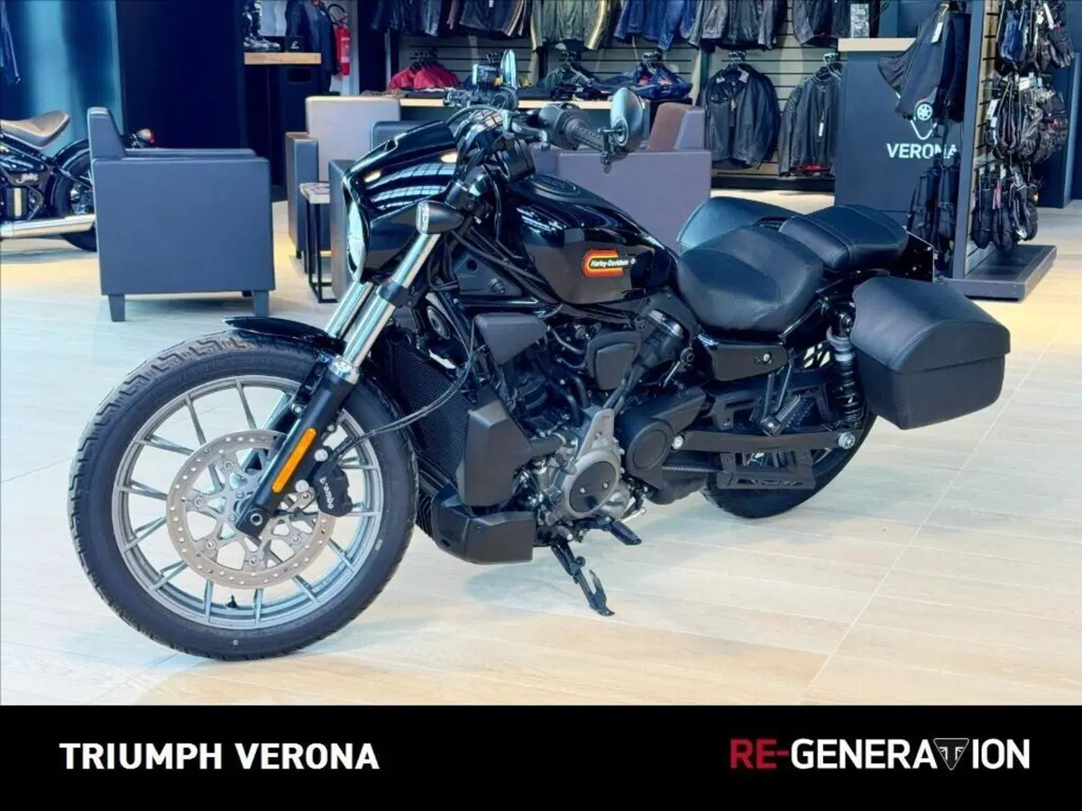 Harley-Davidson Nightster (2023 - 26) (5)