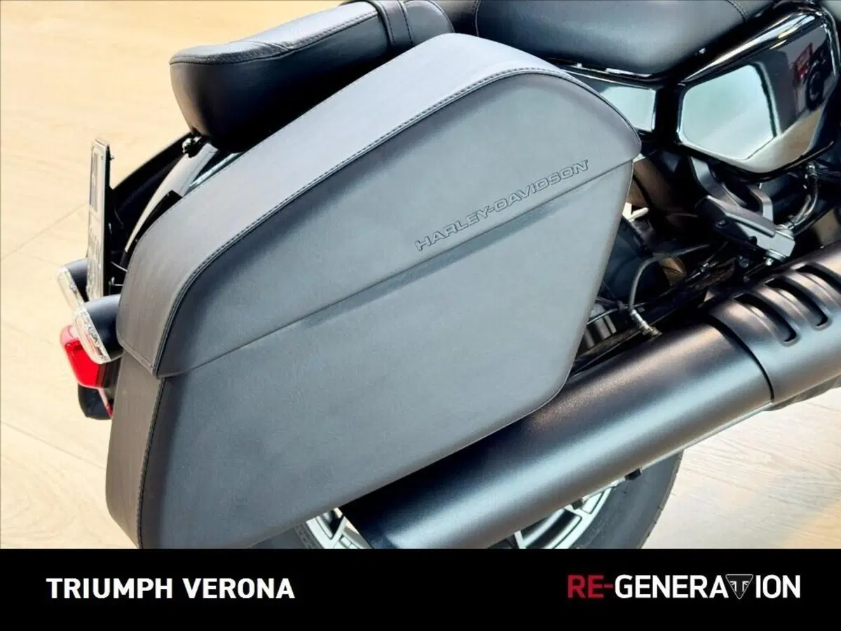Harley-Davidson Nightster (2023 - 26) (4)