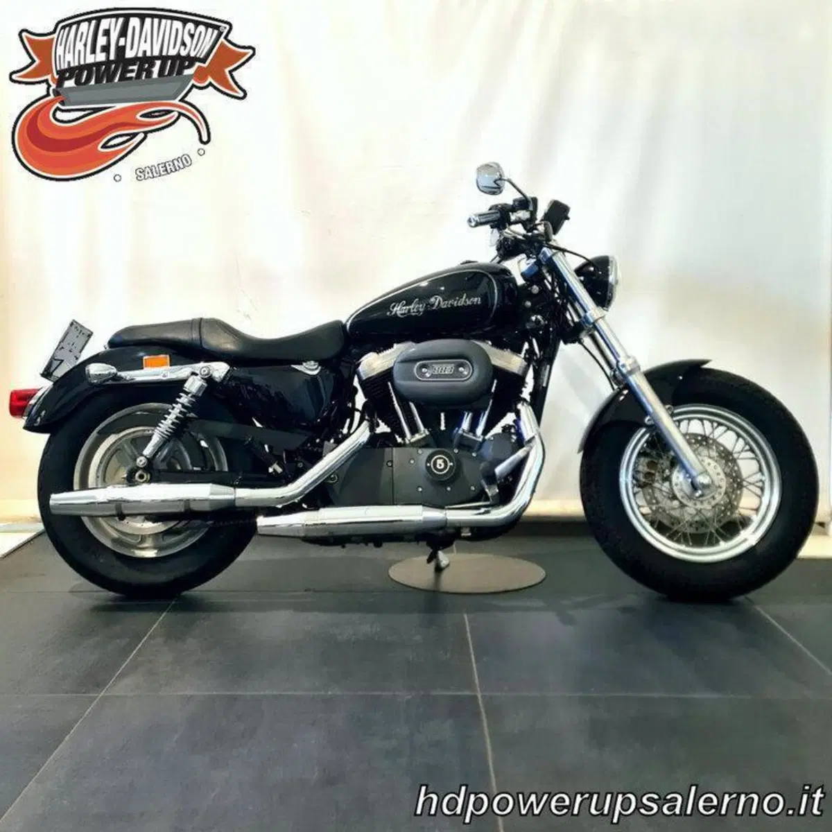 Harley-Davidson 883 (2008 - 09) - XL (2)