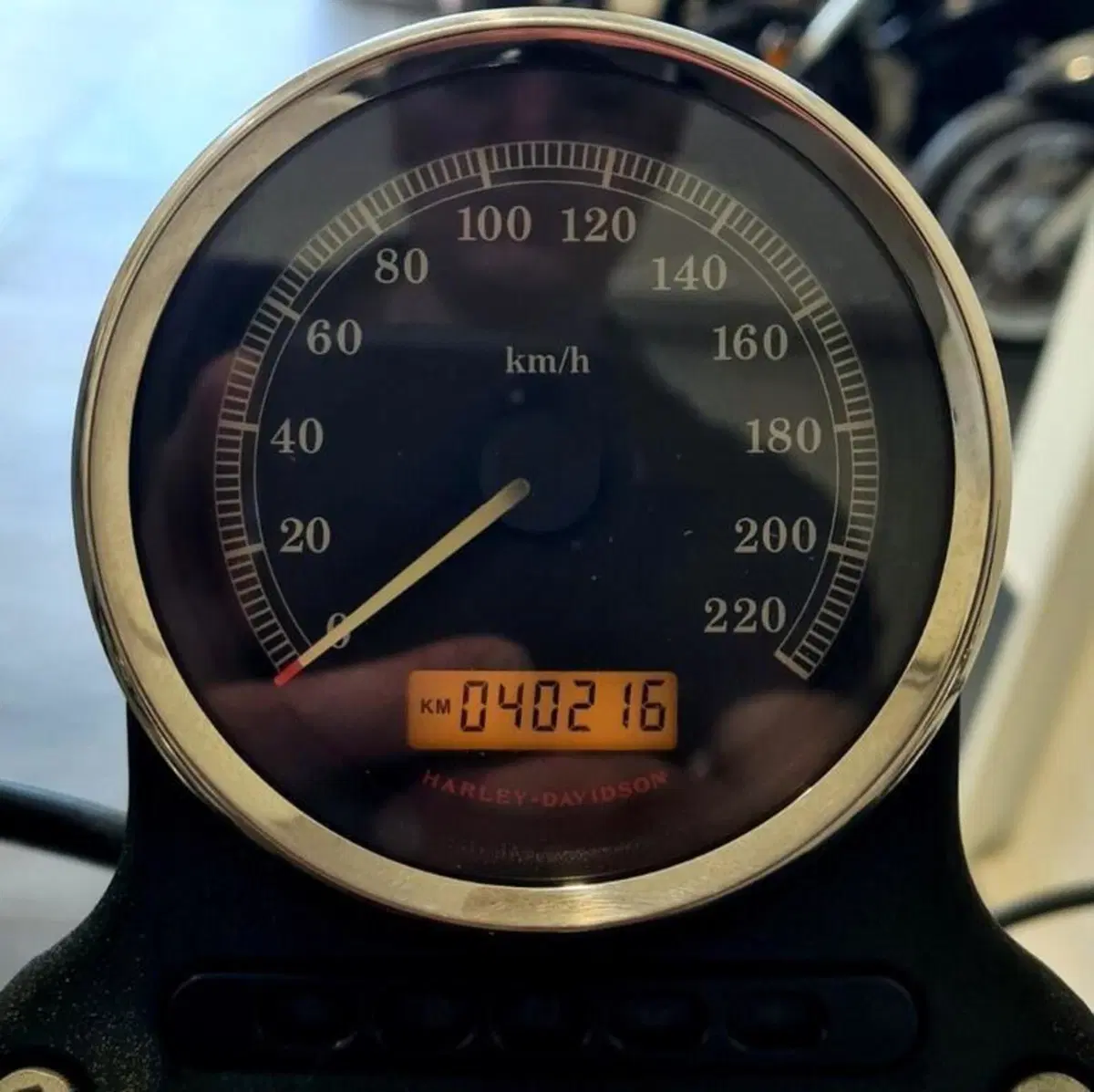 Harley-Davidson 883 (2008 - 09) - XL (5)