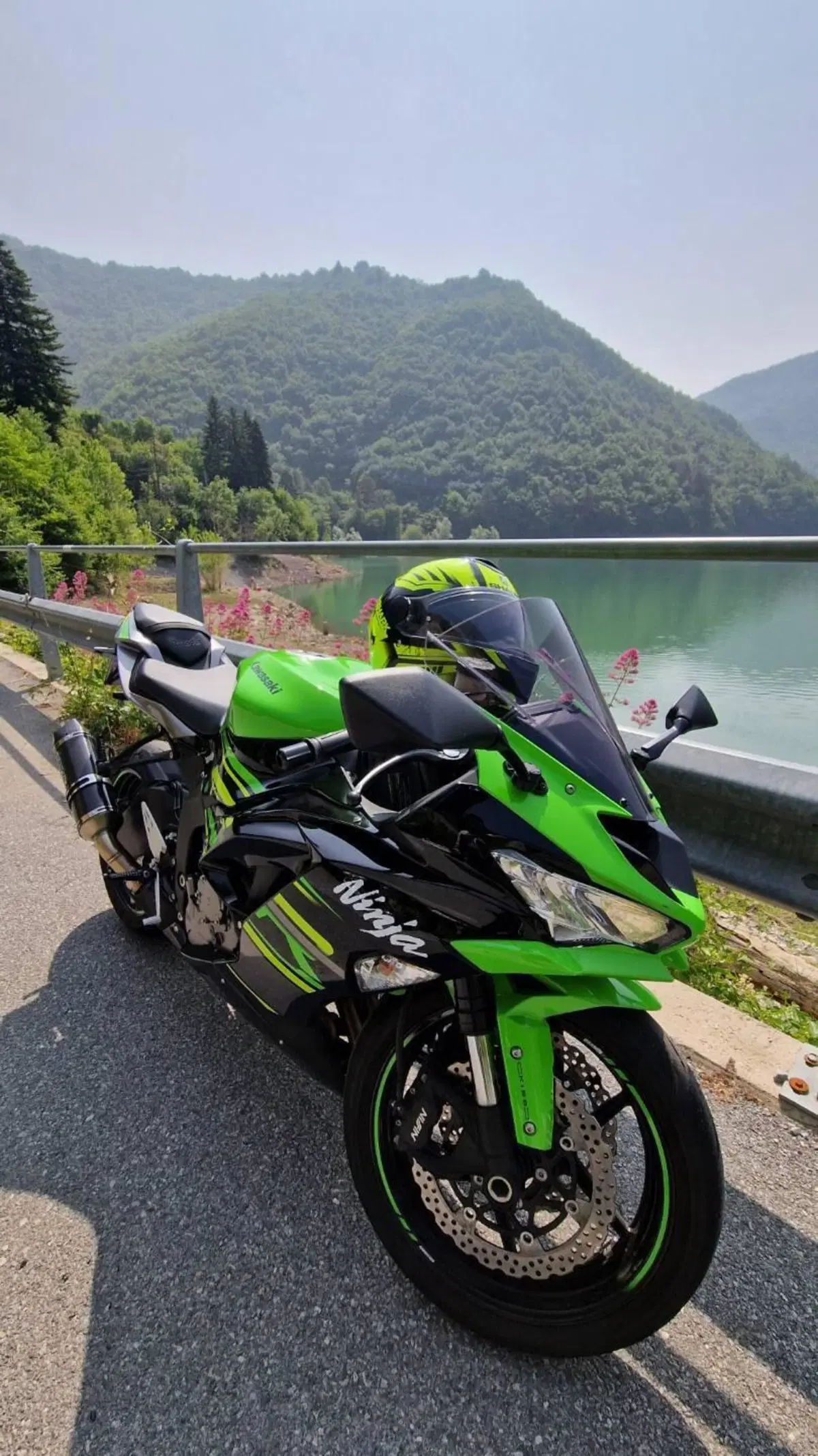 Kawasaki Ninja 636 ZX-6R KRT (2019 - 20)