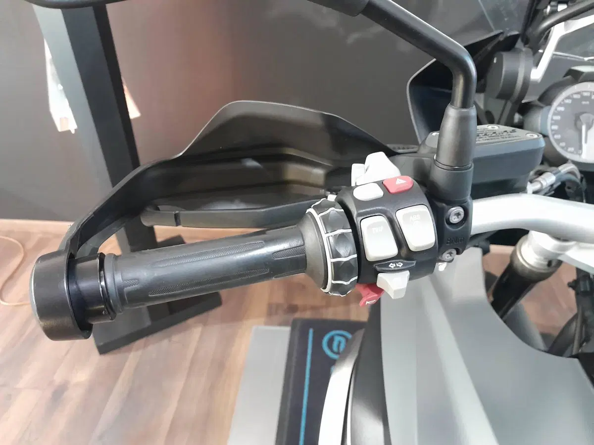 Bmw R 1200 GS (2017 - 18) (11)