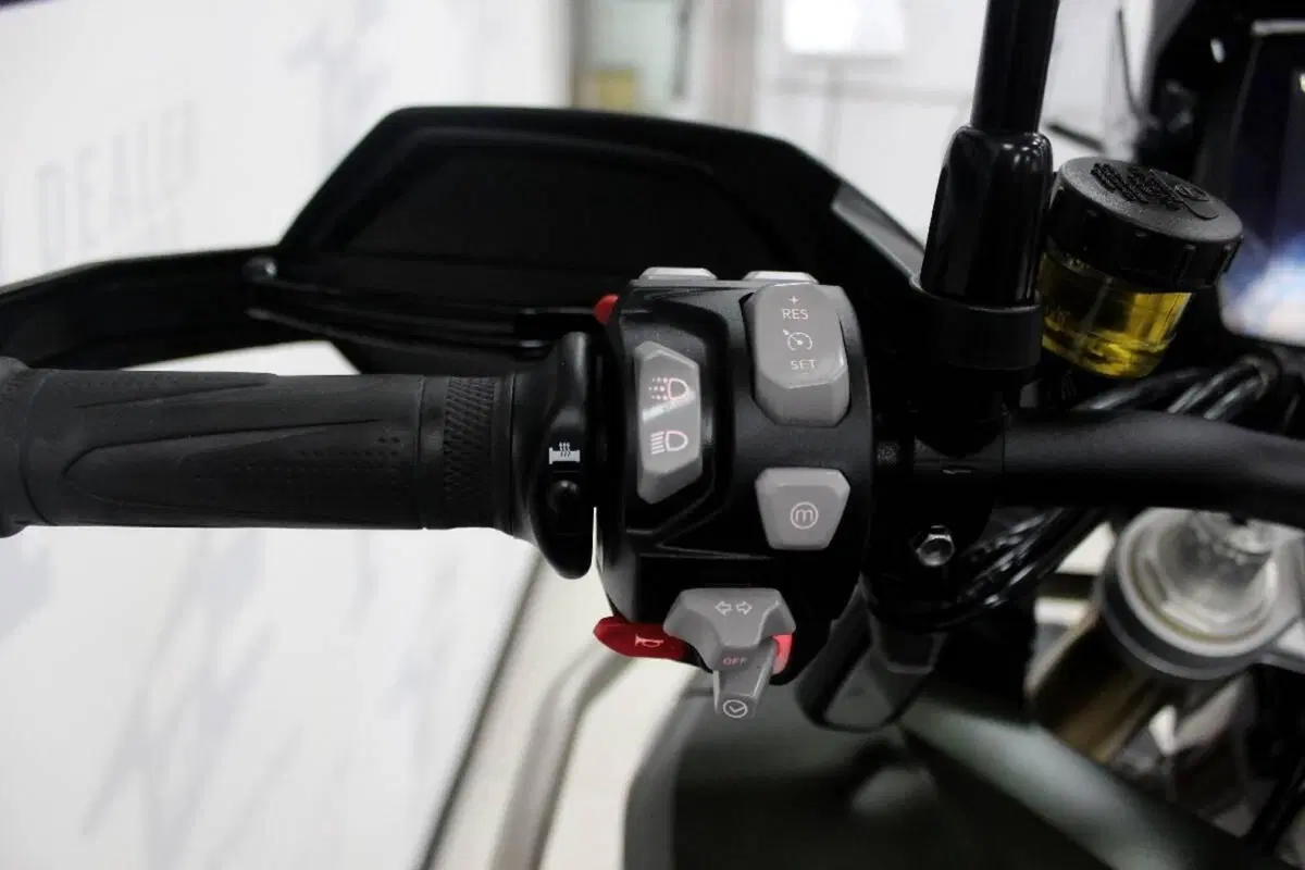 Triumph Tiger 1200 Rally Pro (2022 - 23) (7)