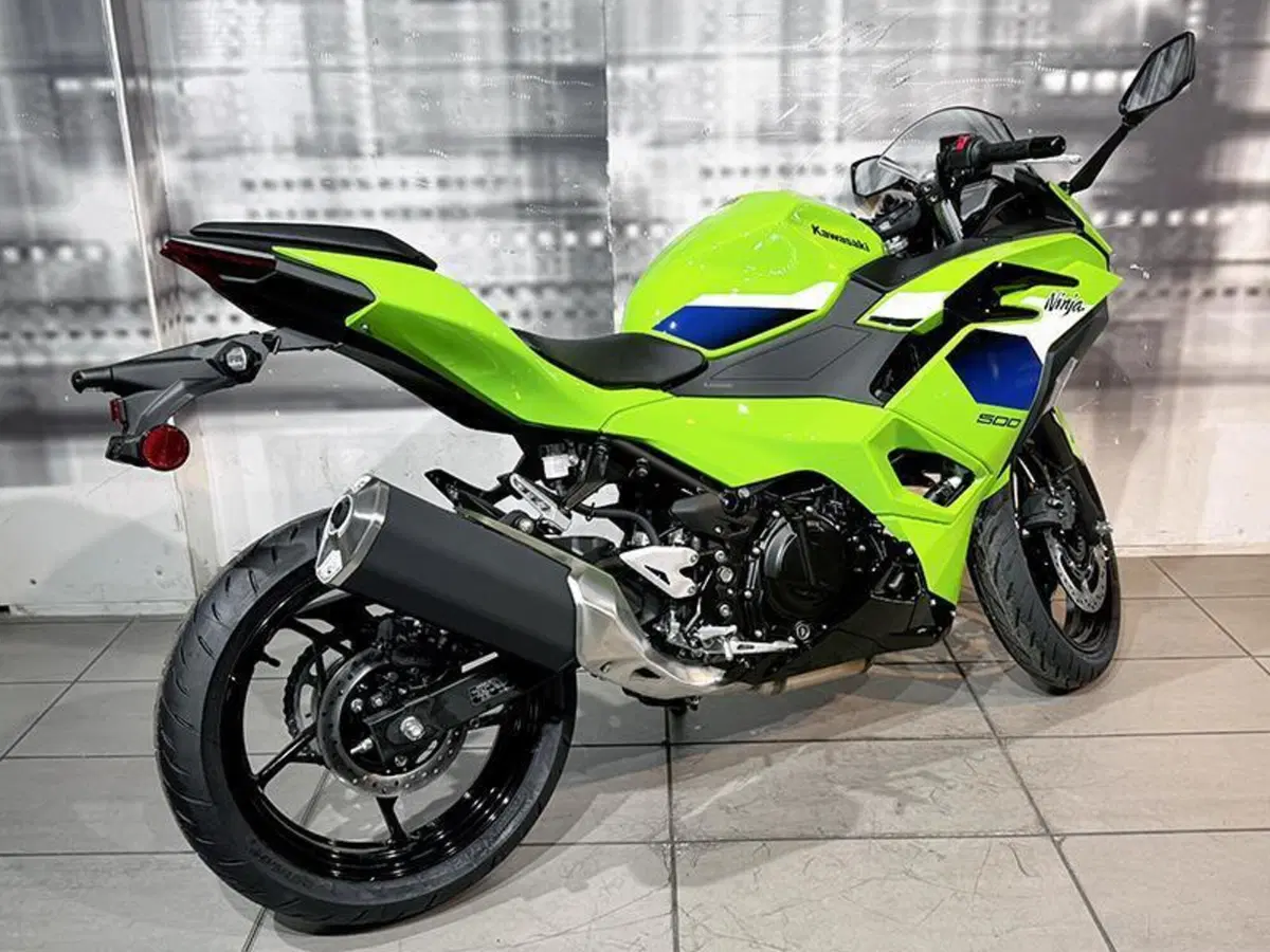 Kawasaki Ninja 500 SE (2024 - 26) (7)