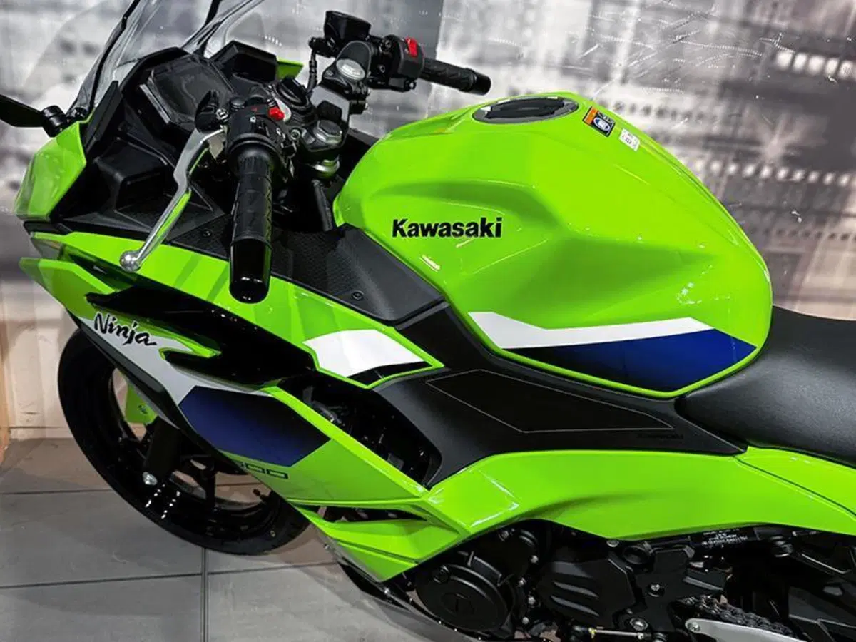 Kawasaki Ninja 500 SE (2024 - 26) (8)