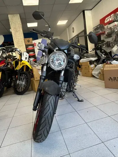 Suzuki SV650 (2021 - 24) usata