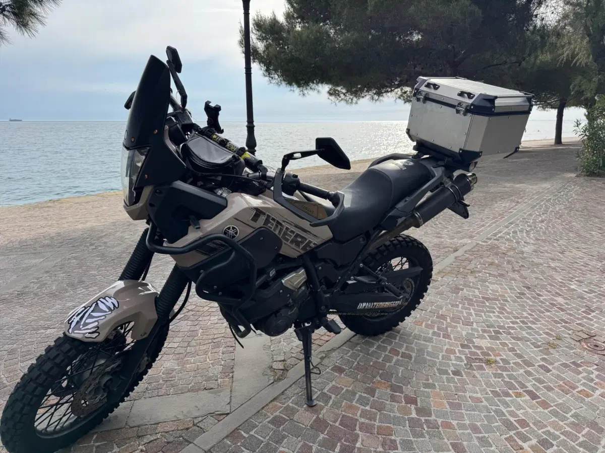 Yamaha XT 660 Z Ténéré (2008 - 16) (3)