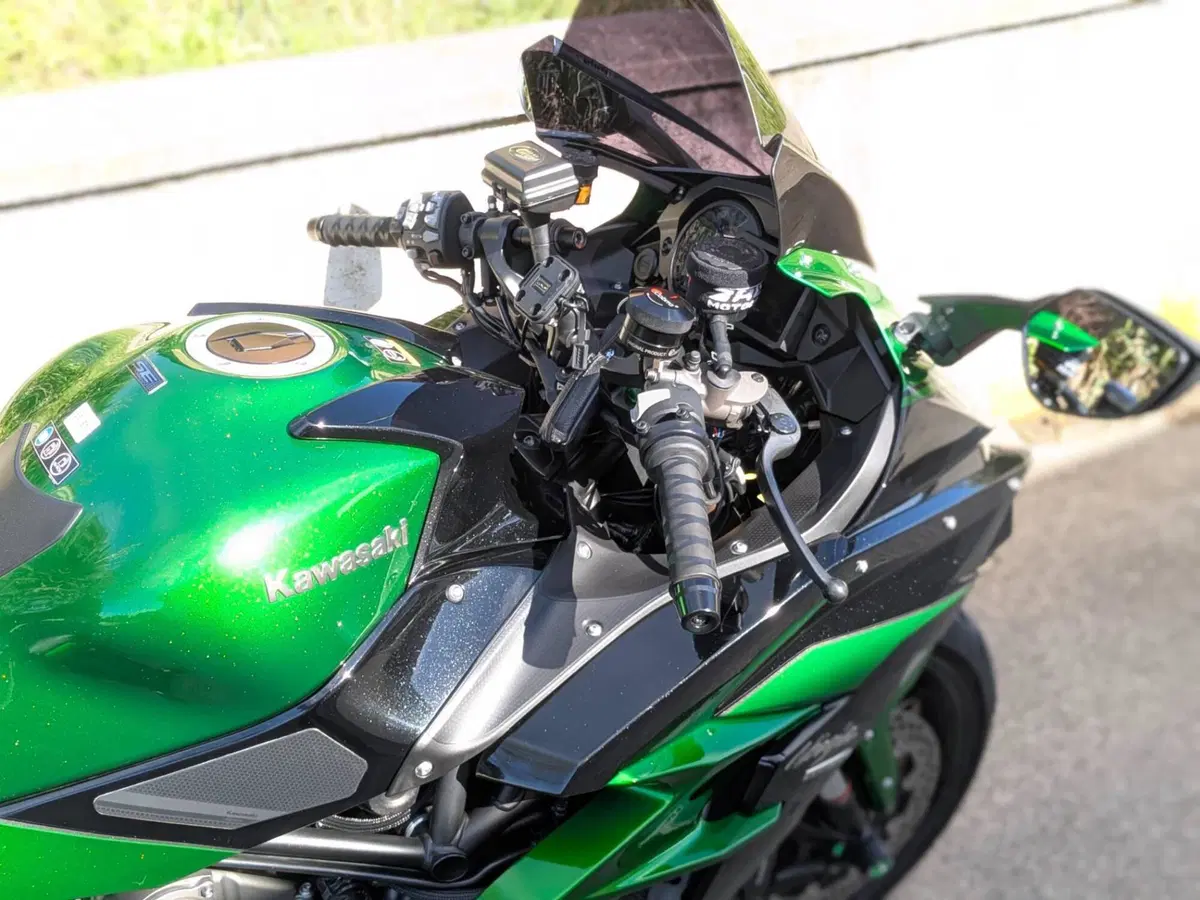 Kawasaki Ninja H2 SX Tourer (2019 - 20) (5)