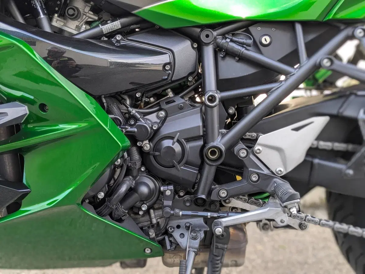 Kawasaki Ninja H2 SX Tourer (2019 - 20) (7)