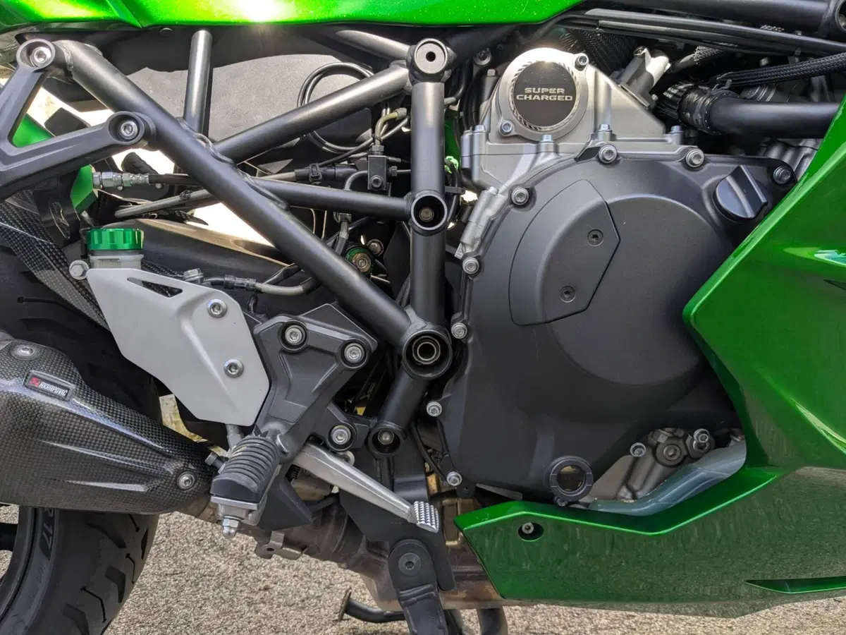 Kawasaki Ninja H2 SX Tourer (2019 - 20) (8)