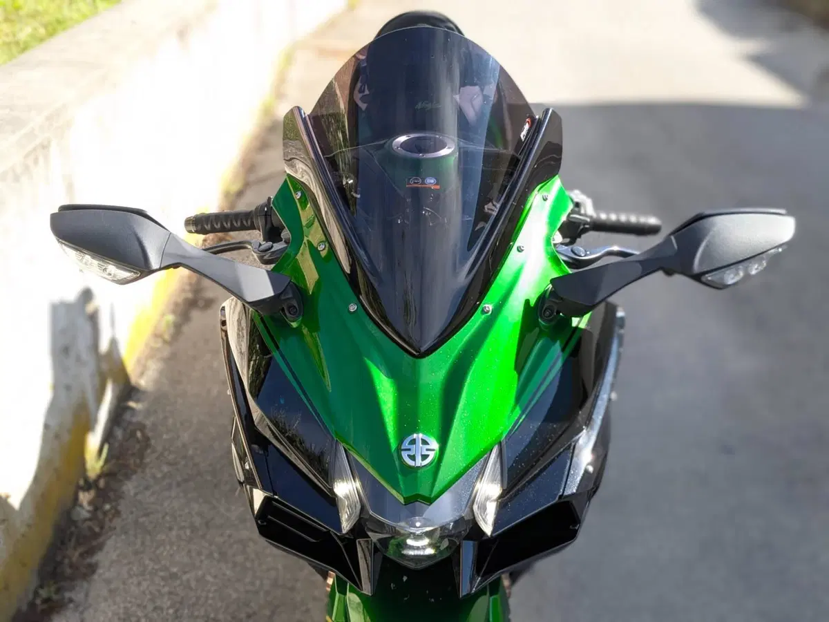 Kawasaki Ninja H2 SX Tourer (2019 - 20) (9)