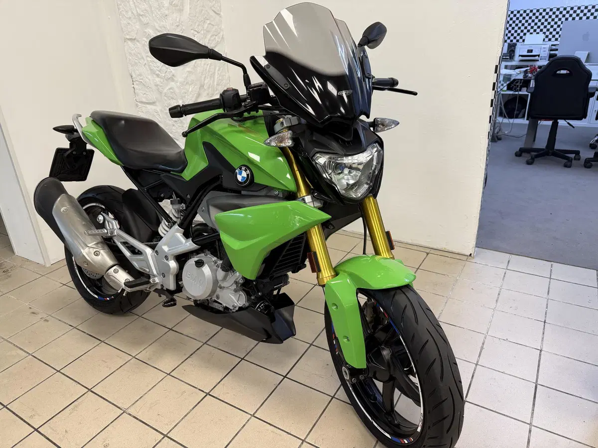 Bmw G 310 R (2016 - 20) (3)