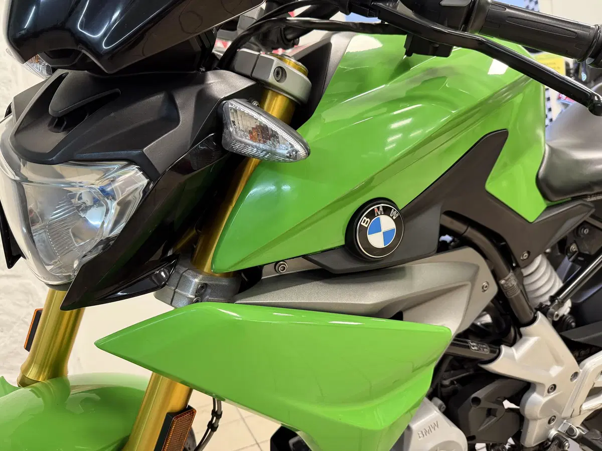 Bmw G 310 R (2016 - 20) (5)