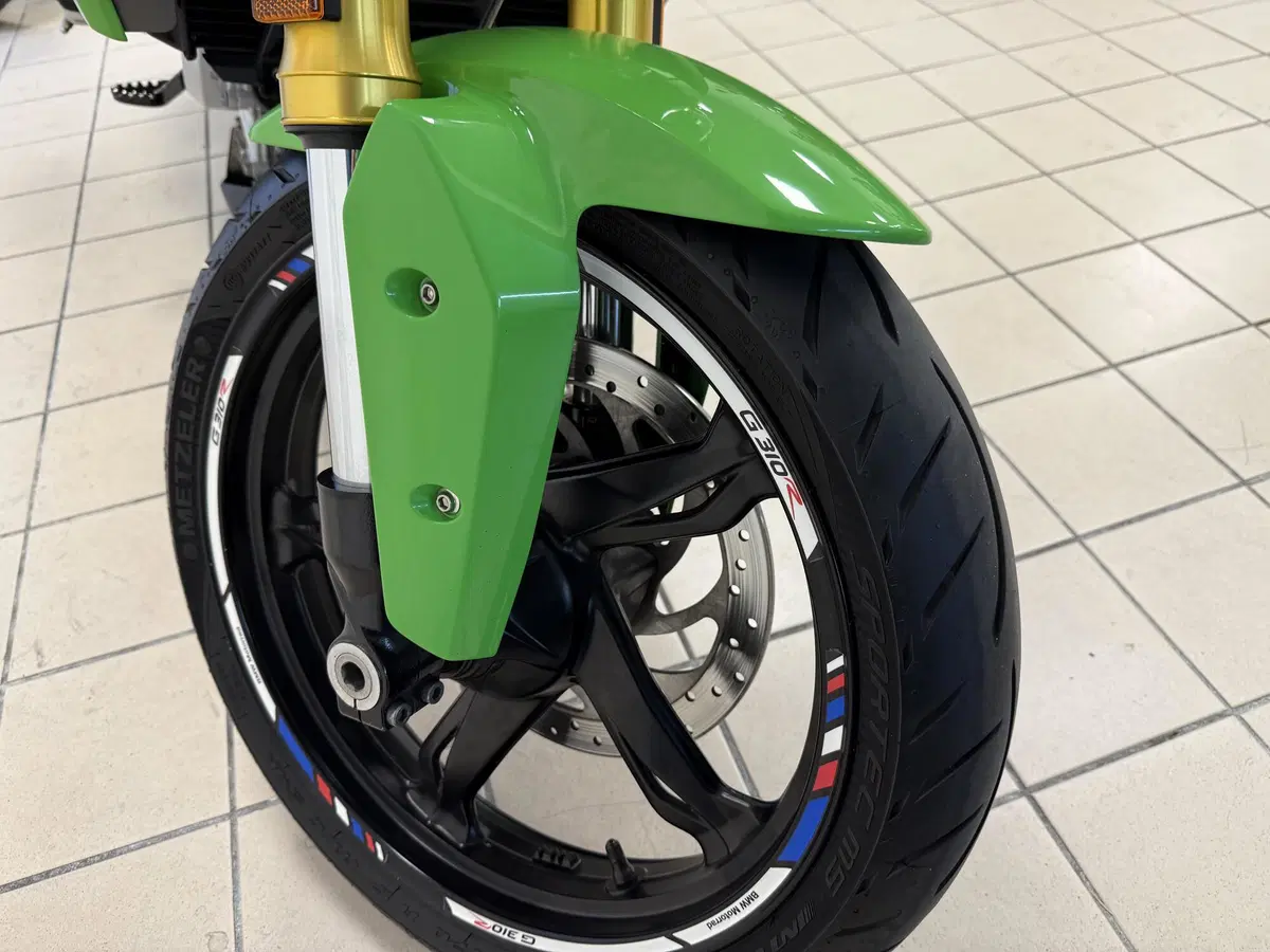 Bmw G 310 R (2016 - 20) (6)