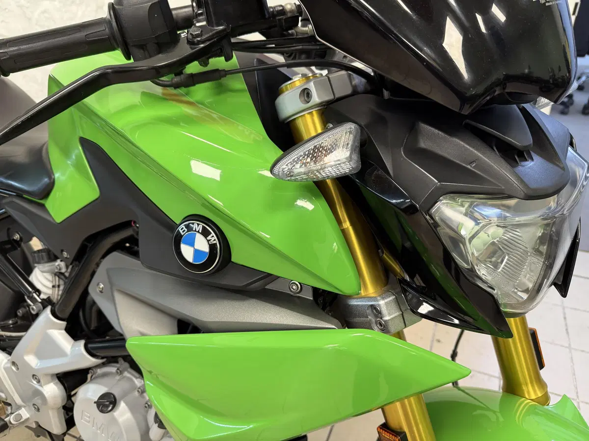 Bmw G 310 R (2016 - 20) (9)