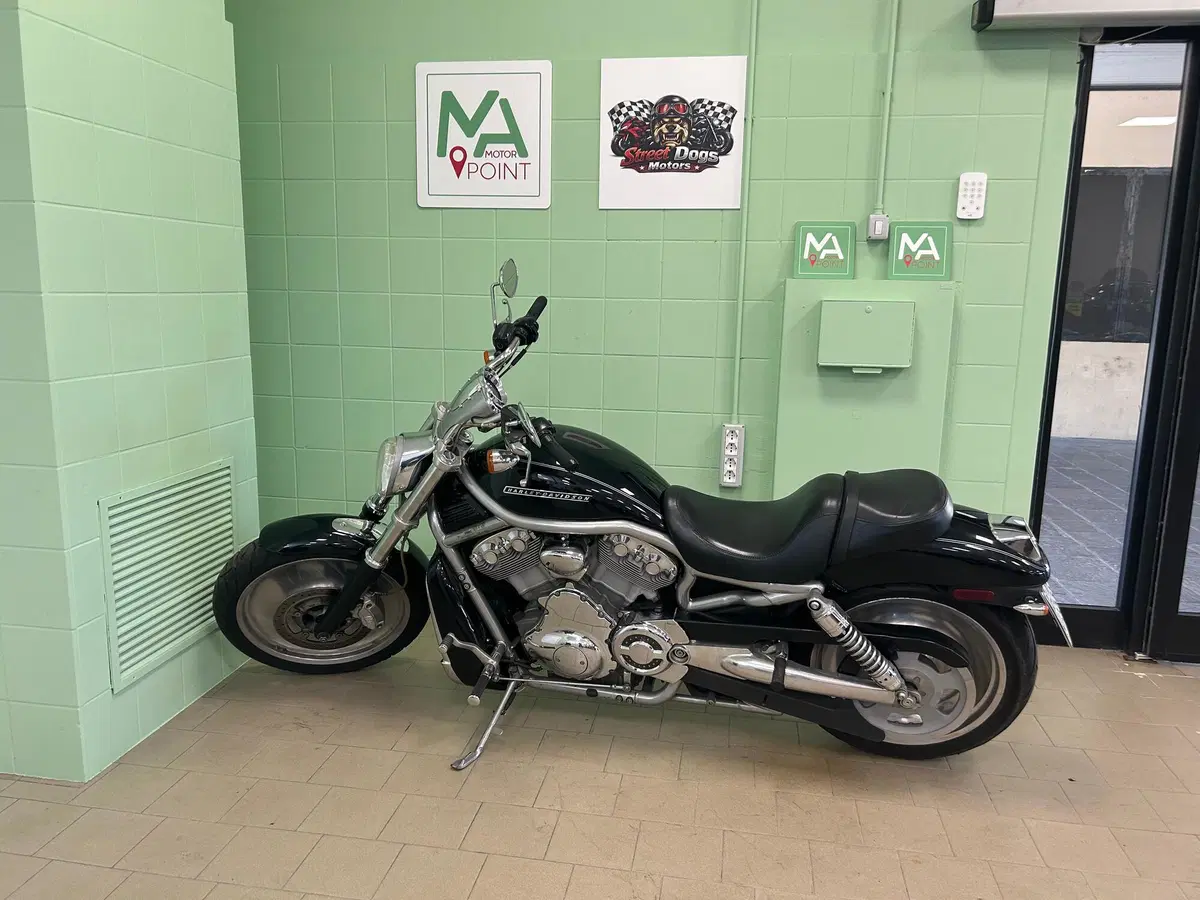 Harley-Davidson 1130 V-Rod (2006) - VRSCA (2)