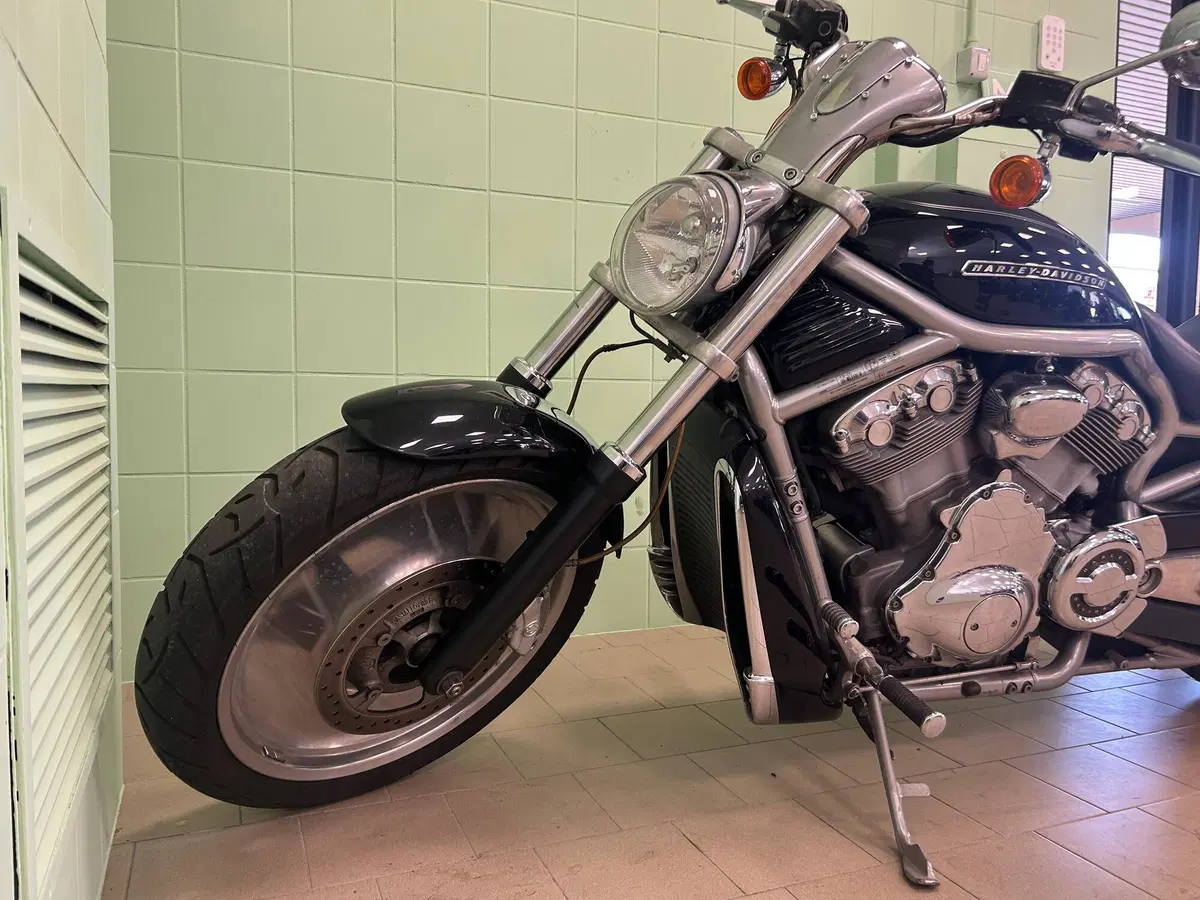 Harley-Davidson 1130 V-Rod (2006) - VRSCA (7)