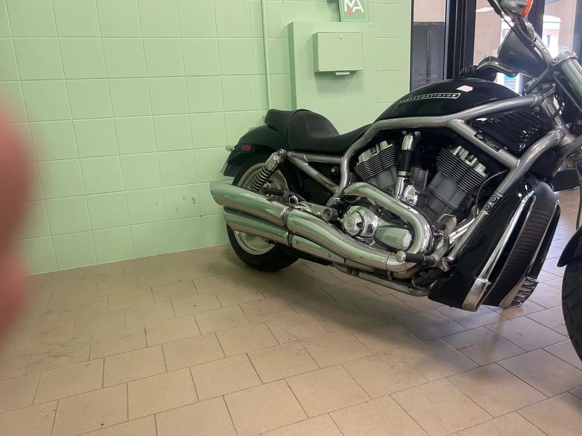 Harley-Davidson 1130 V-Rod (2006) - VRSCA (10)