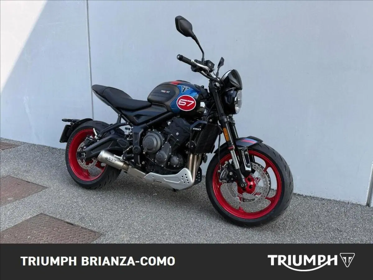 Triumph Trident 660 Triple Tribute Edition (2025 - 26) (2)