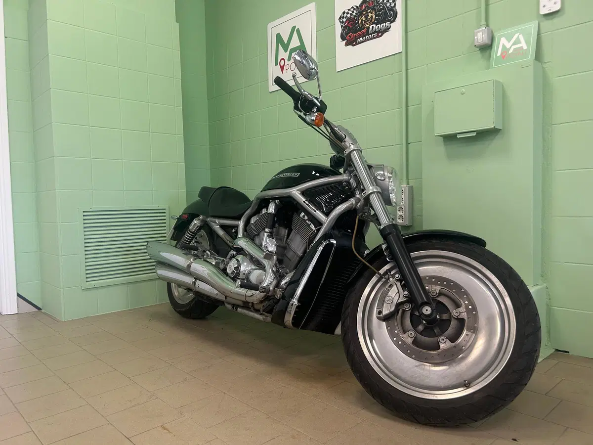 Harley-Davidson 1130 V-Rod (2006) - VRSCA (13)