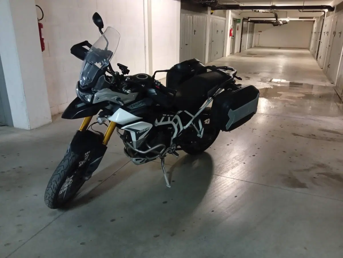 Triumph Tiger 900 Rally Pro (2020 - 23) (4)
