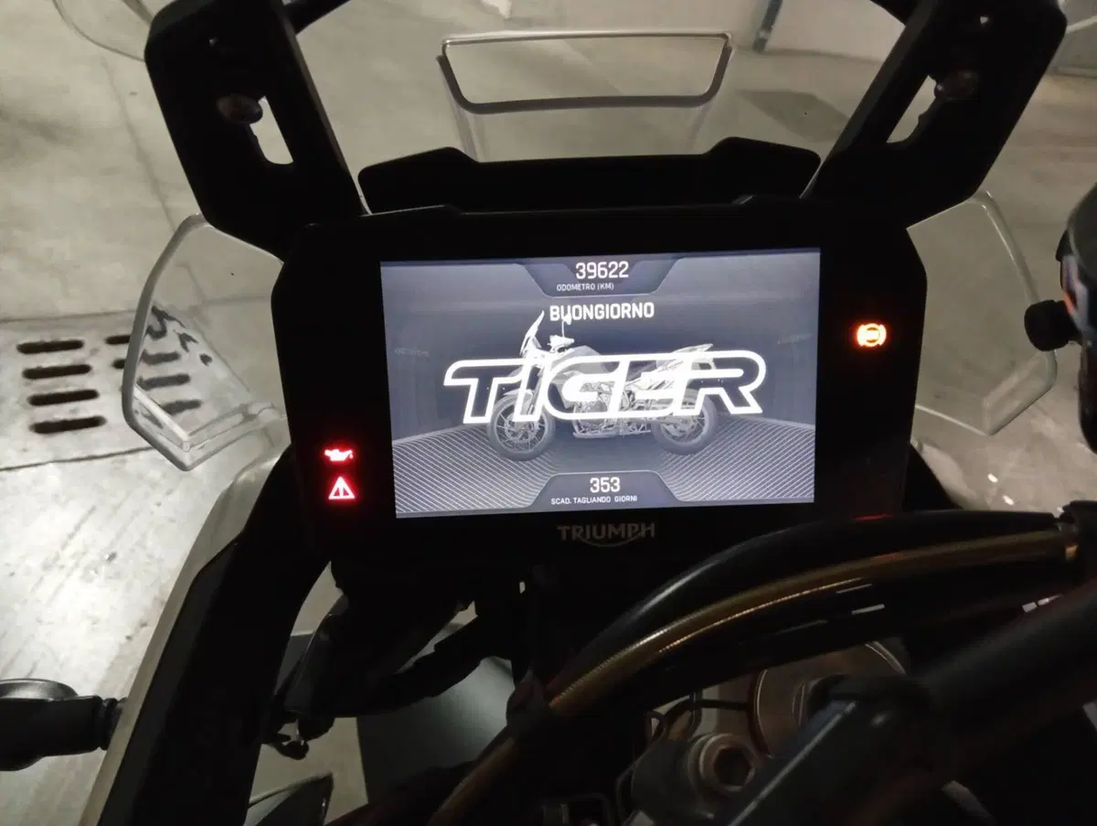 Triumph Tiger 900 Rally Pro (2020 - 23) (9)