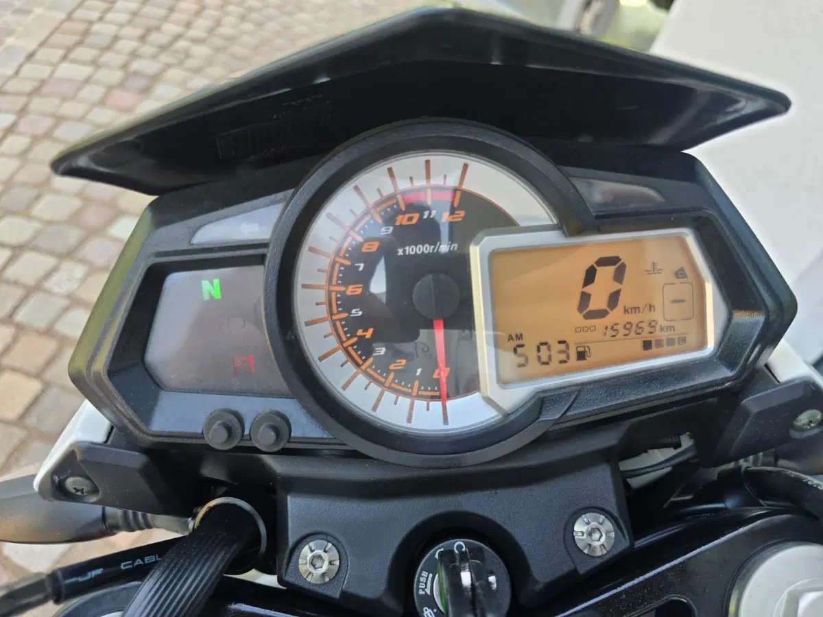 Benelli BN 251 (2017 - 20) (9)