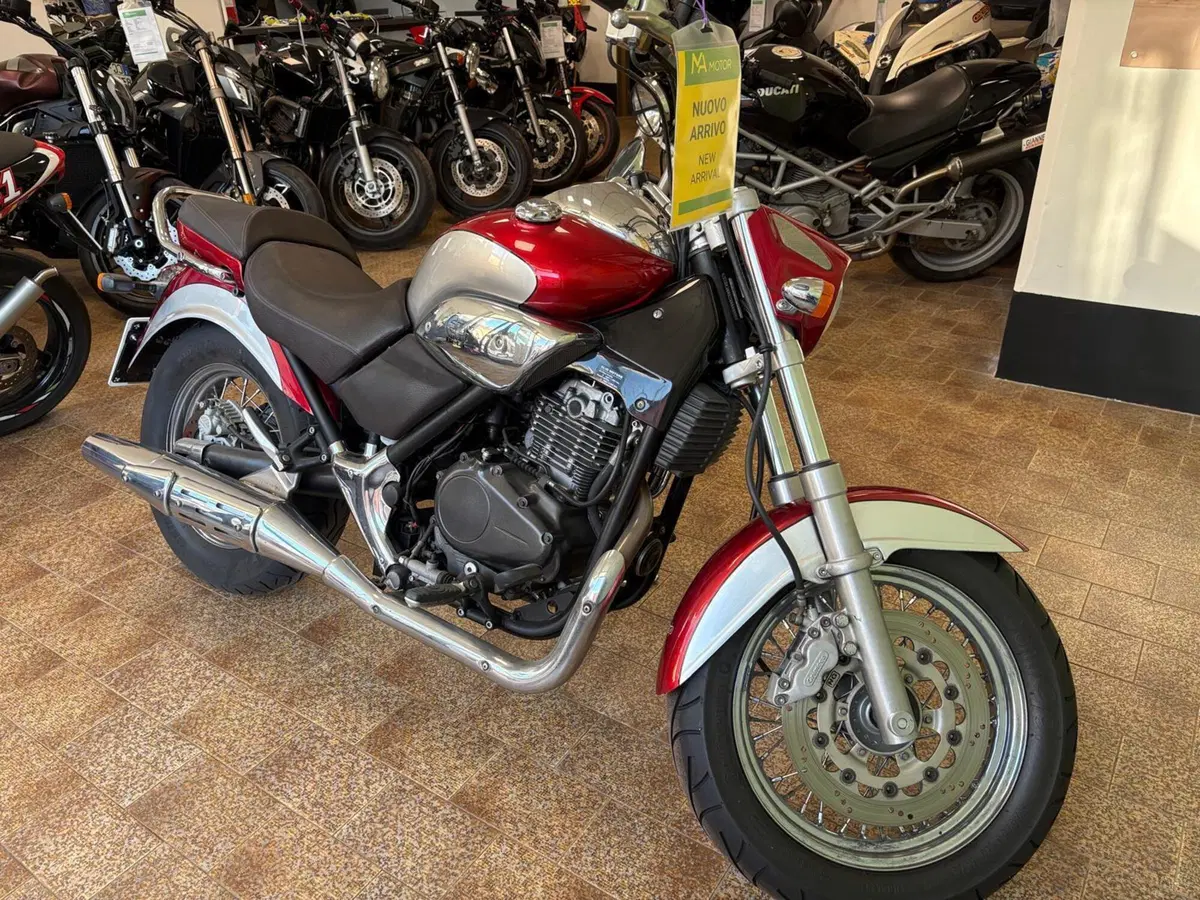 Betamotor Euro 350 Classic (2001 - 05) (8)