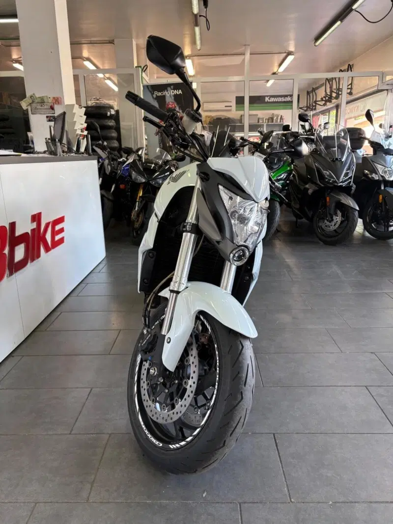Honda CB 1000 R (2008 - 10) (3)
