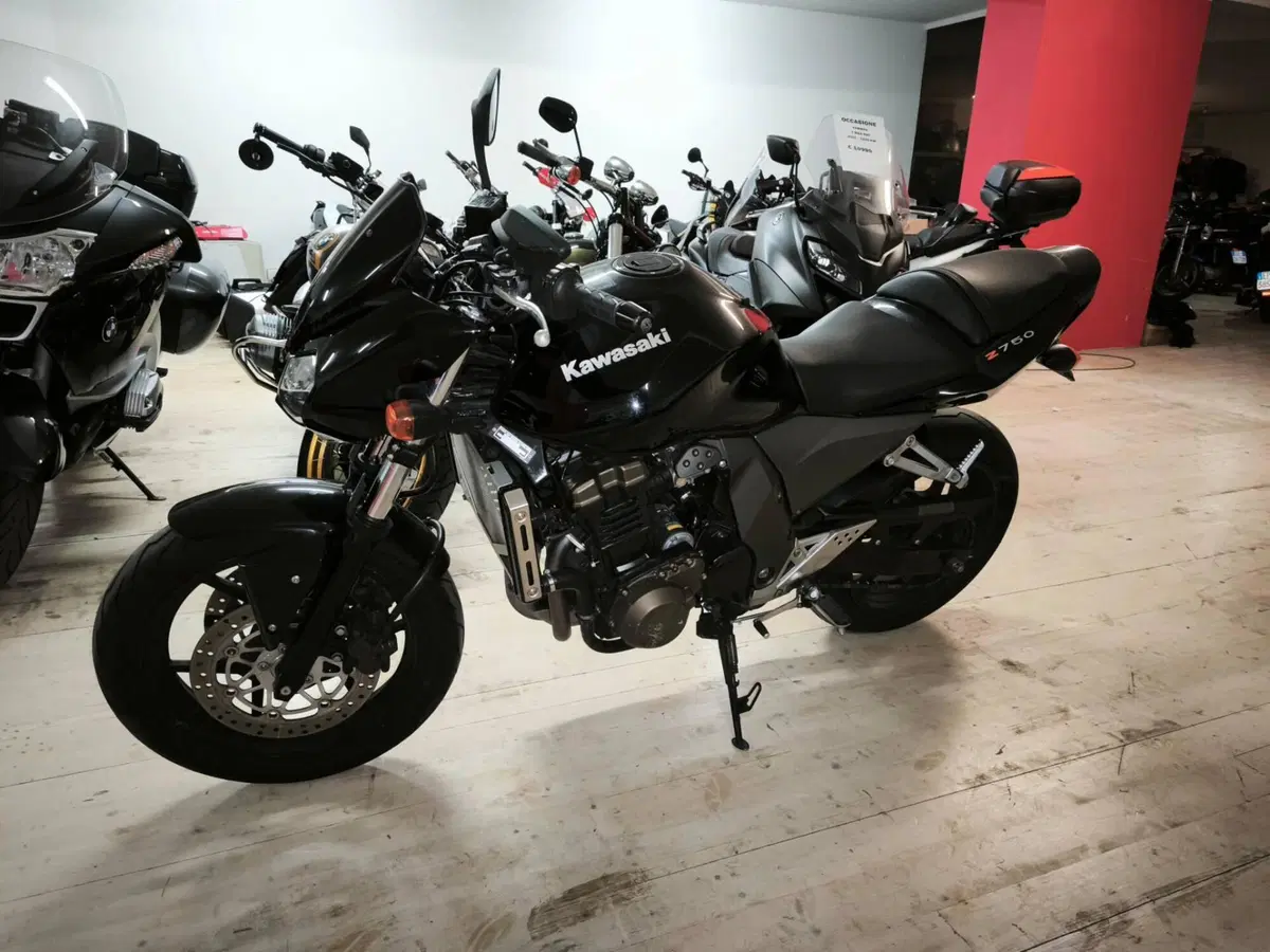 Kawasaki Z 750 (2003 - 06) (3)