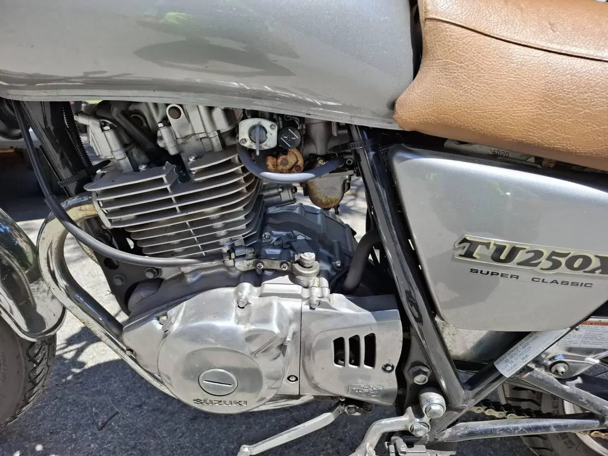 Suzuki TU 250 X (1997 - 03) (9)