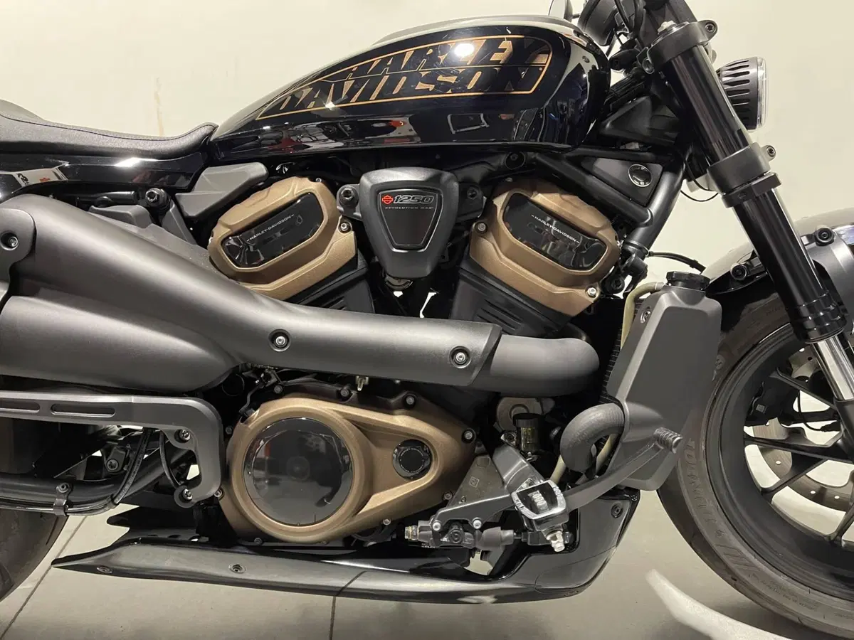 Harley-Davidson Sportster S (2022 - 24) (2)