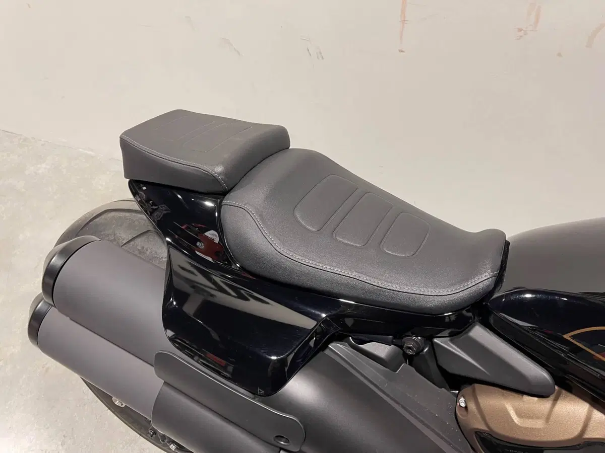 Harley-Davidson Sportster S (2022 - 24) (3)