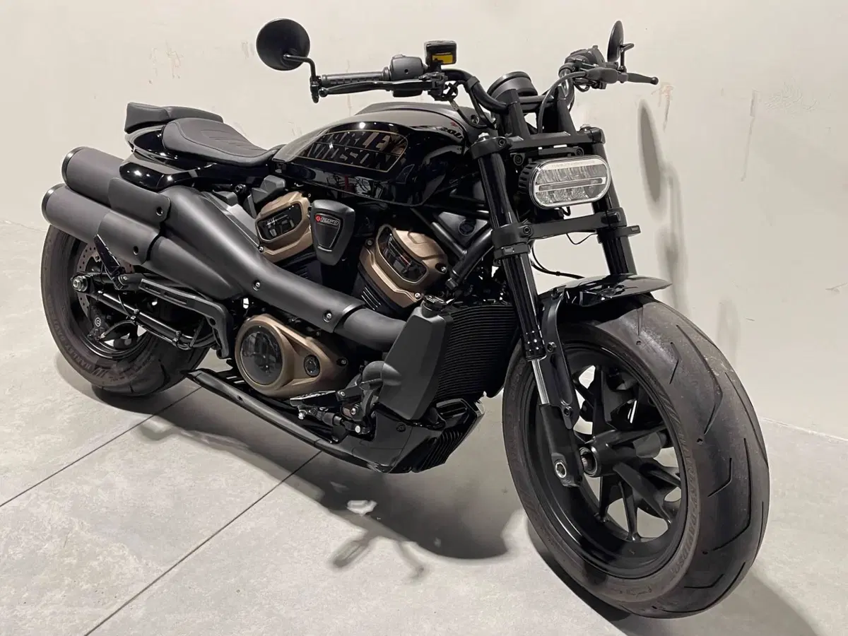 Harley-Davidson Sportster S (2022 - 24) (5)